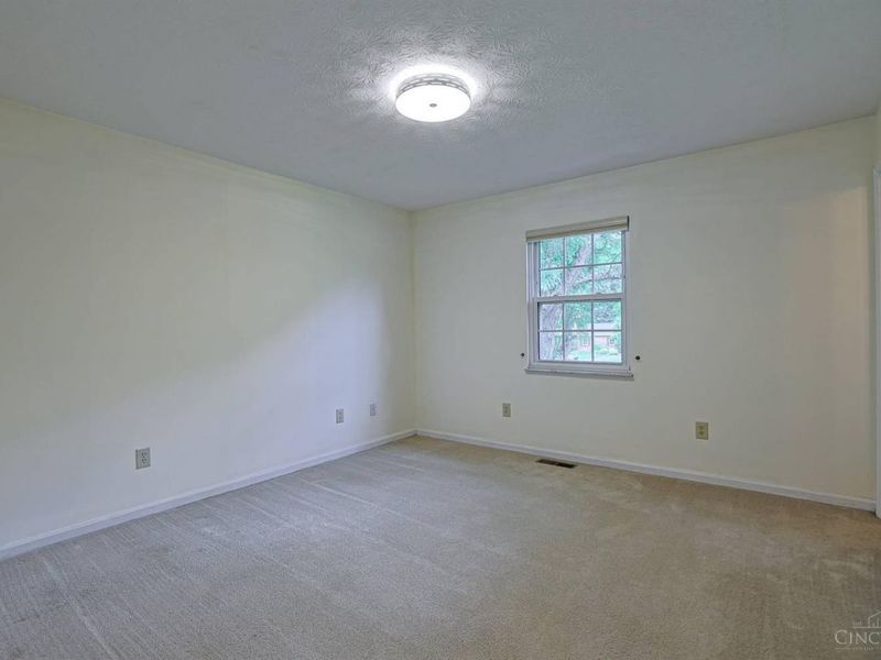 9960 Walnutridge Court, Symmes Township, OH 45242 Photo 44