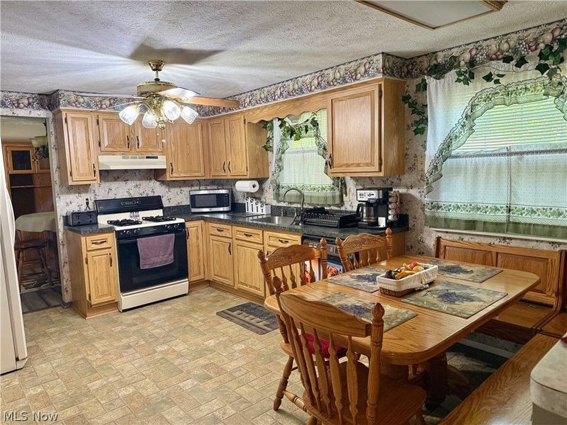 9625 Brayes Manor Drive, Mentor, OH 44060 Photo 5