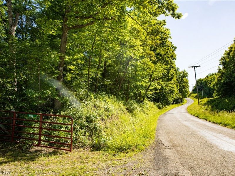 4185 Baughman Run Road , Roseville, OH 43777 Photo 25
