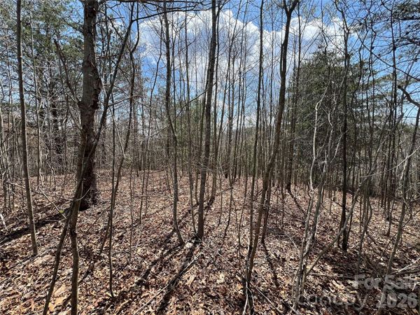 192 Pine Cone Trail, Marshall, NC 28753