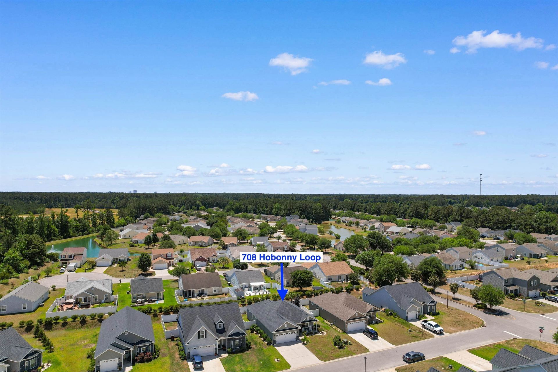 708 Hobonny Loop Photo 39