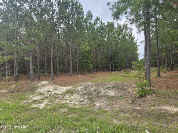 Tract 14 Belford Church Road , Jackson Springs, NC 27281
