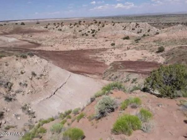 TBD 210-06-005 and 206-51-136, Unit 005, Chambers, AZ 86502