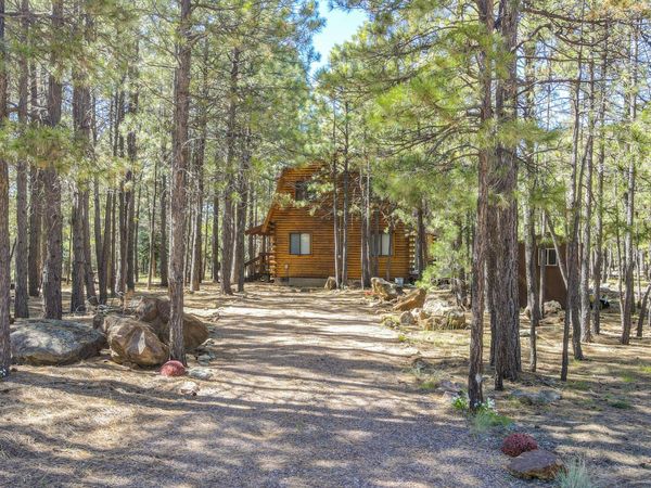 1448 Mineral Drive, Forest Lakes, AZ 85931