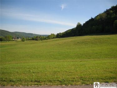 NO # LOT 1 Mcclure Hollow Road, Allegany, NY 14706
