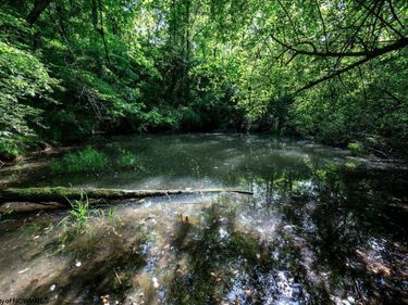 Lot 1 Hecks Run, Rivesville, WV 26588