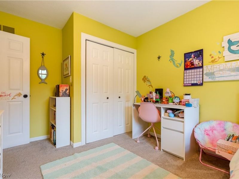 207 Mount Pleasant Road, Green, OH 44216 Photo 18