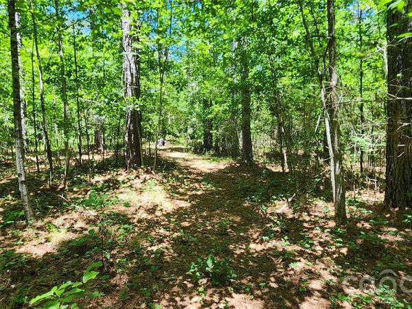 171 Bambi Lane , Mill Spring, NC 28782