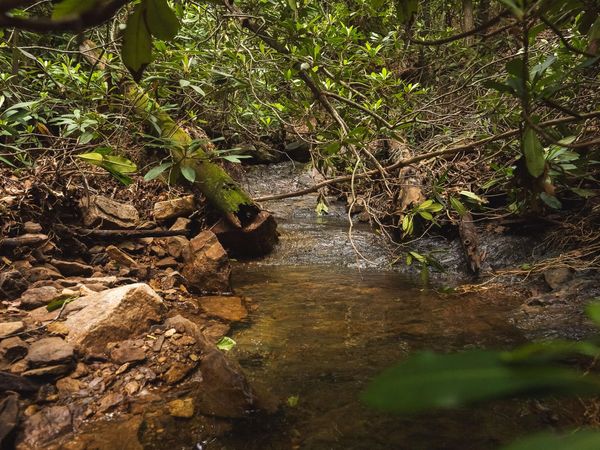 TBD Macks Mountain RD , Indian Valley, VA 24105