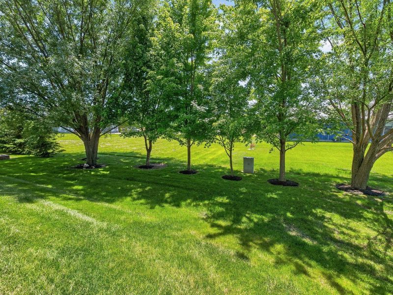 1338 Advent Court, Marysville, OH 43040 Photo 68