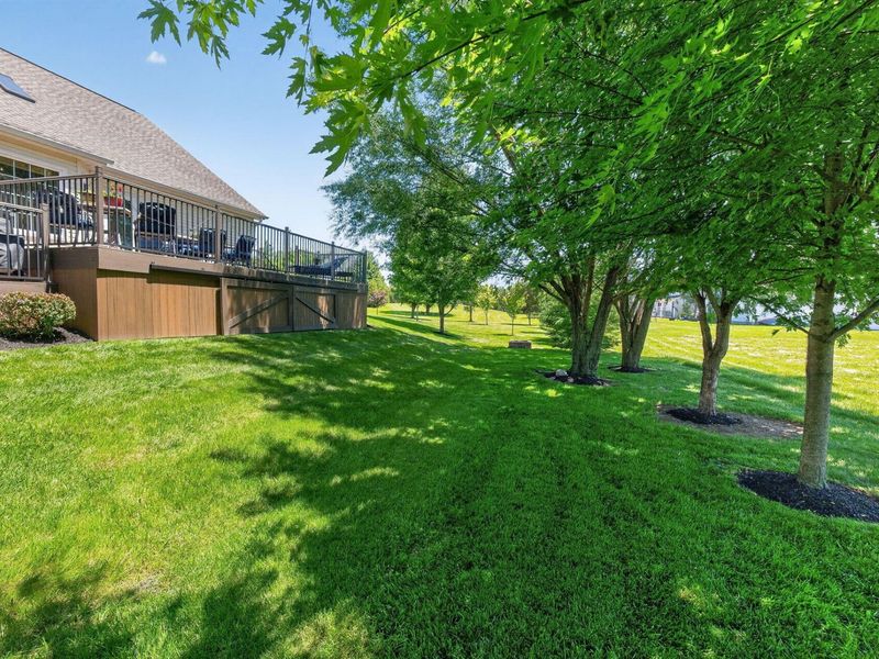1338 Advent Court , Marysville, OH 43040 Photo 82