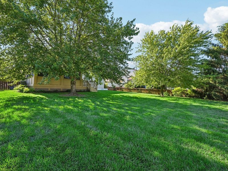 6744 Damson Place, Westerville, OH 43082 Photo 61