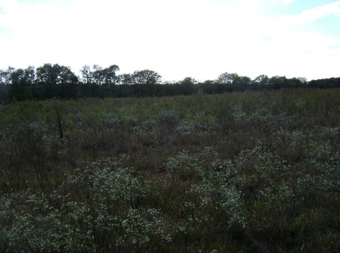 Main Photo