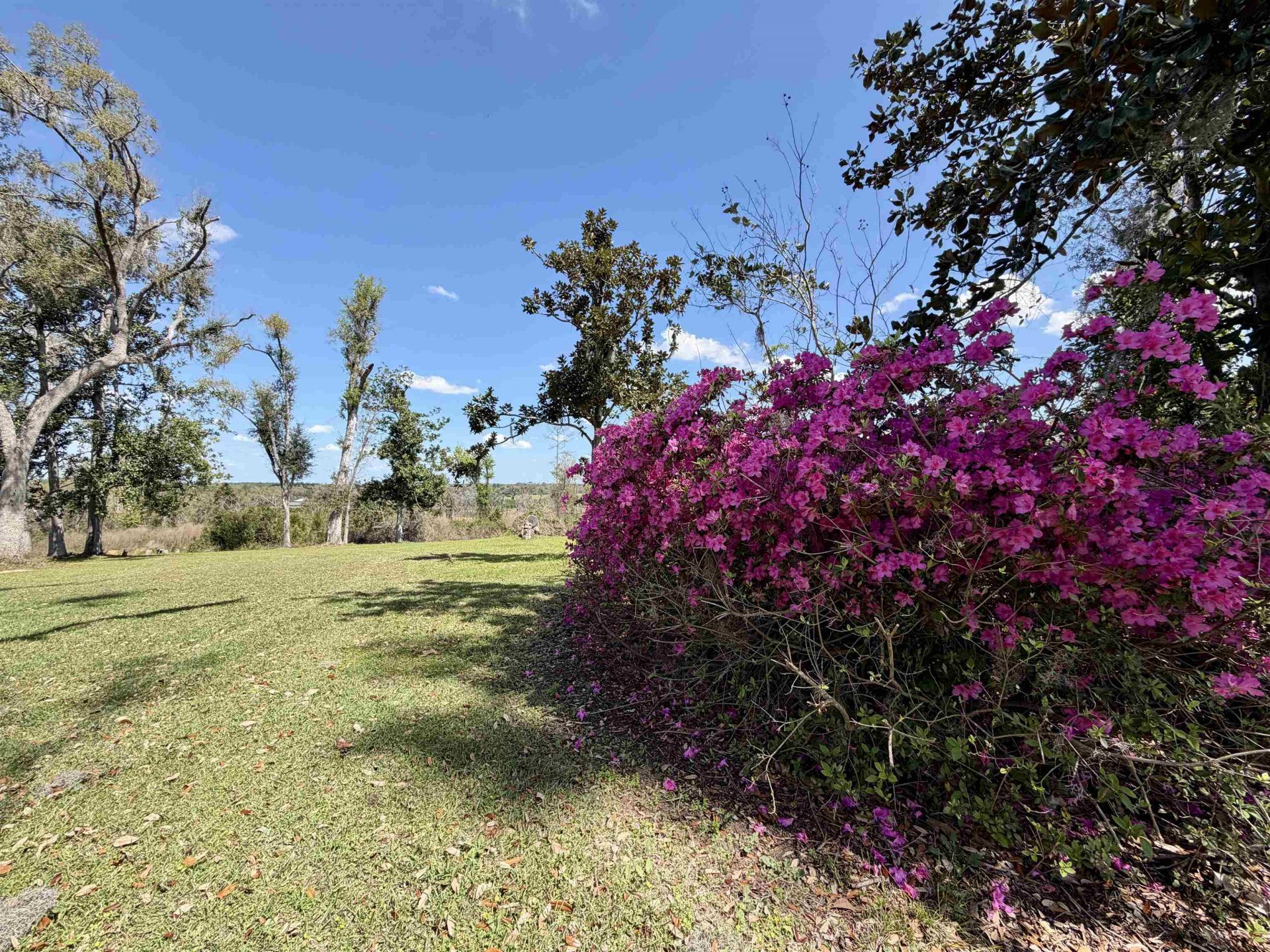 588 NW Pickle Lane , Madison, FL 32340 Photo