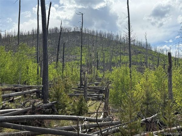 Lot 1996 Strauss Lane , Fort Garland, CO 81133