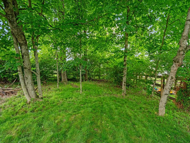 6416 Dunleary Court, Union, KY 41091 Photo 40