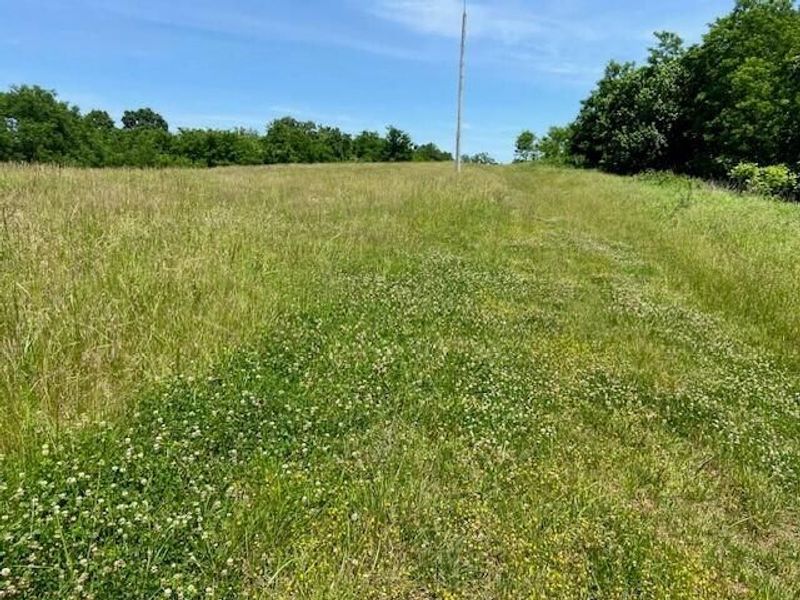3110 Walton Pike, Dover, KY 41034 Photo 16