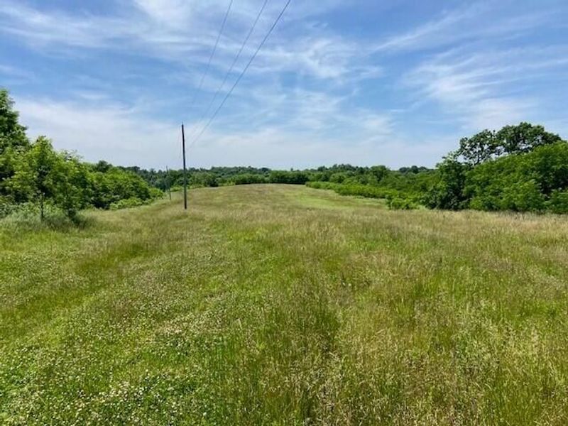 3110 Walton Pike, Dover, KY 41034 Photo 17