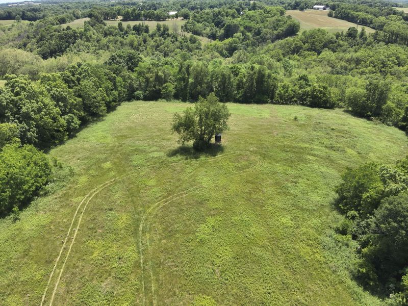 3110 Walton Pike, Dover, KY 41034 Photo 18