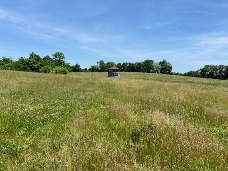 3110 Walton Pike, Dover, KY 41034 Photo 4