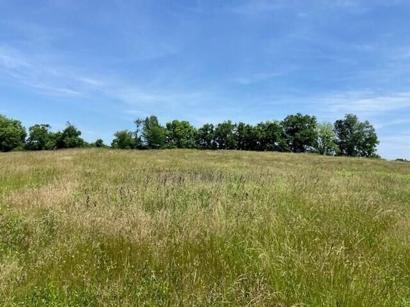 3110 Walton Pike, Dover, KY 41034 Photo 6