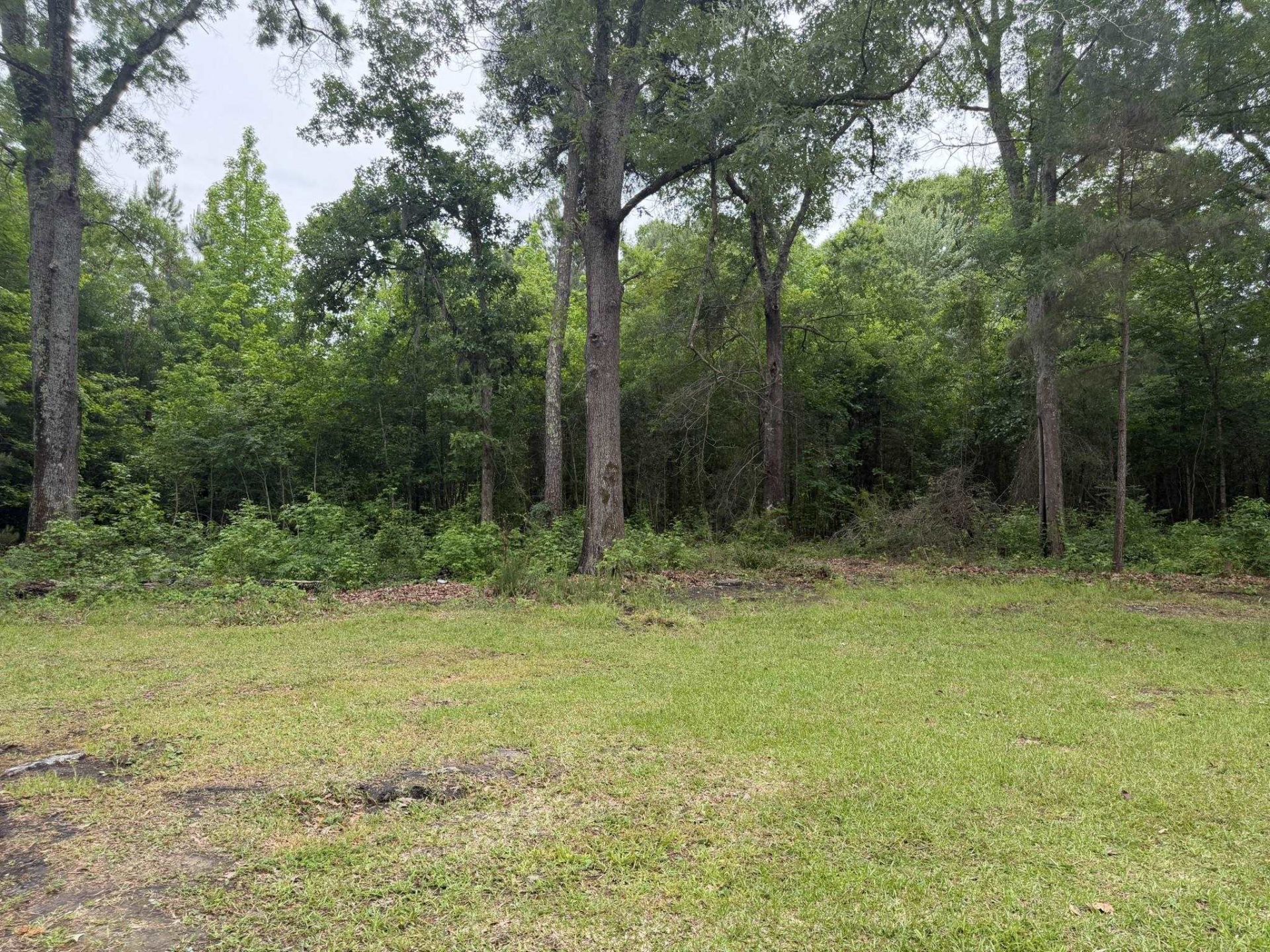 1389 Isabella Rd. Photo 3