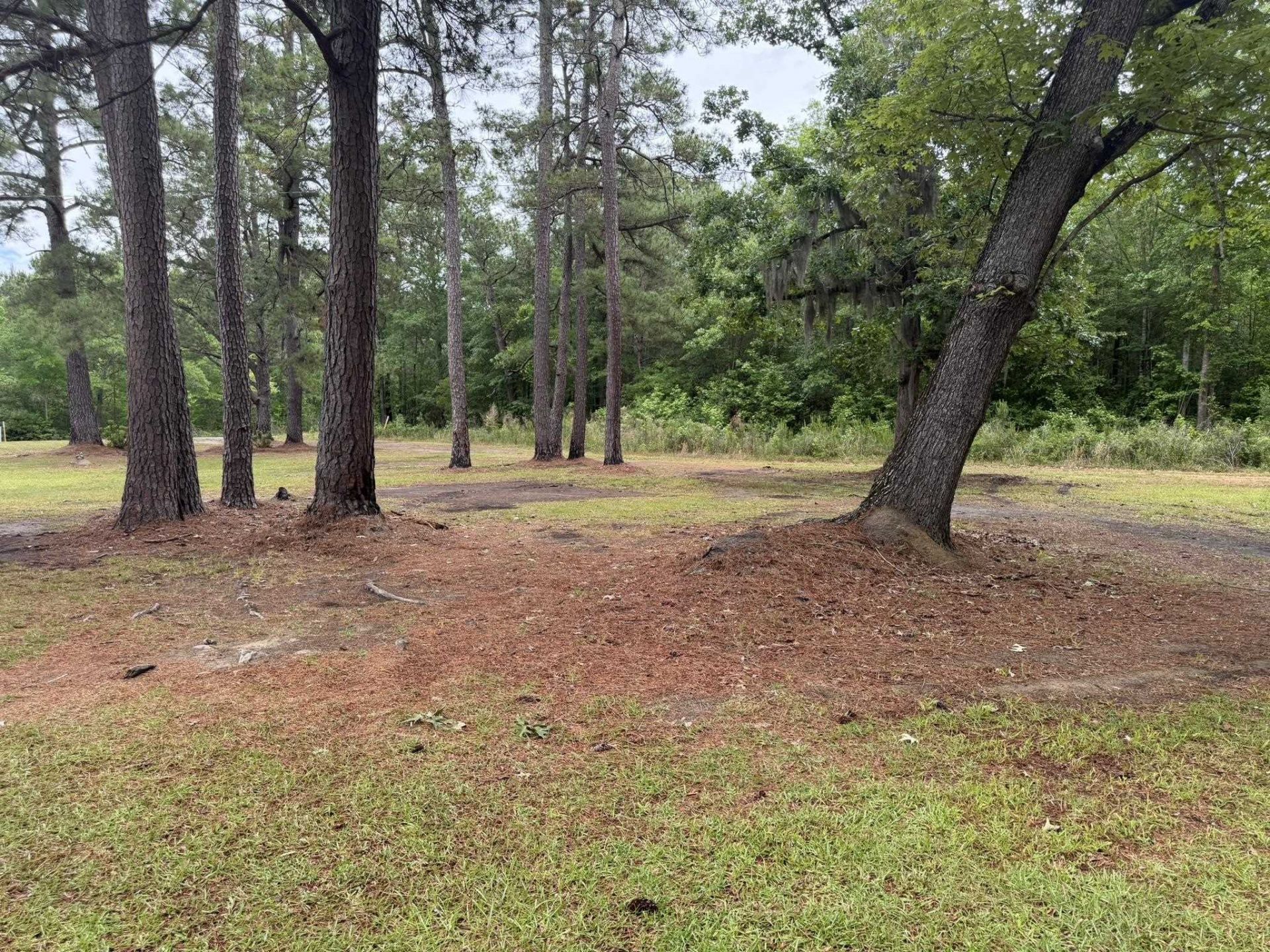 1389 Isabella Rd. Photo 5