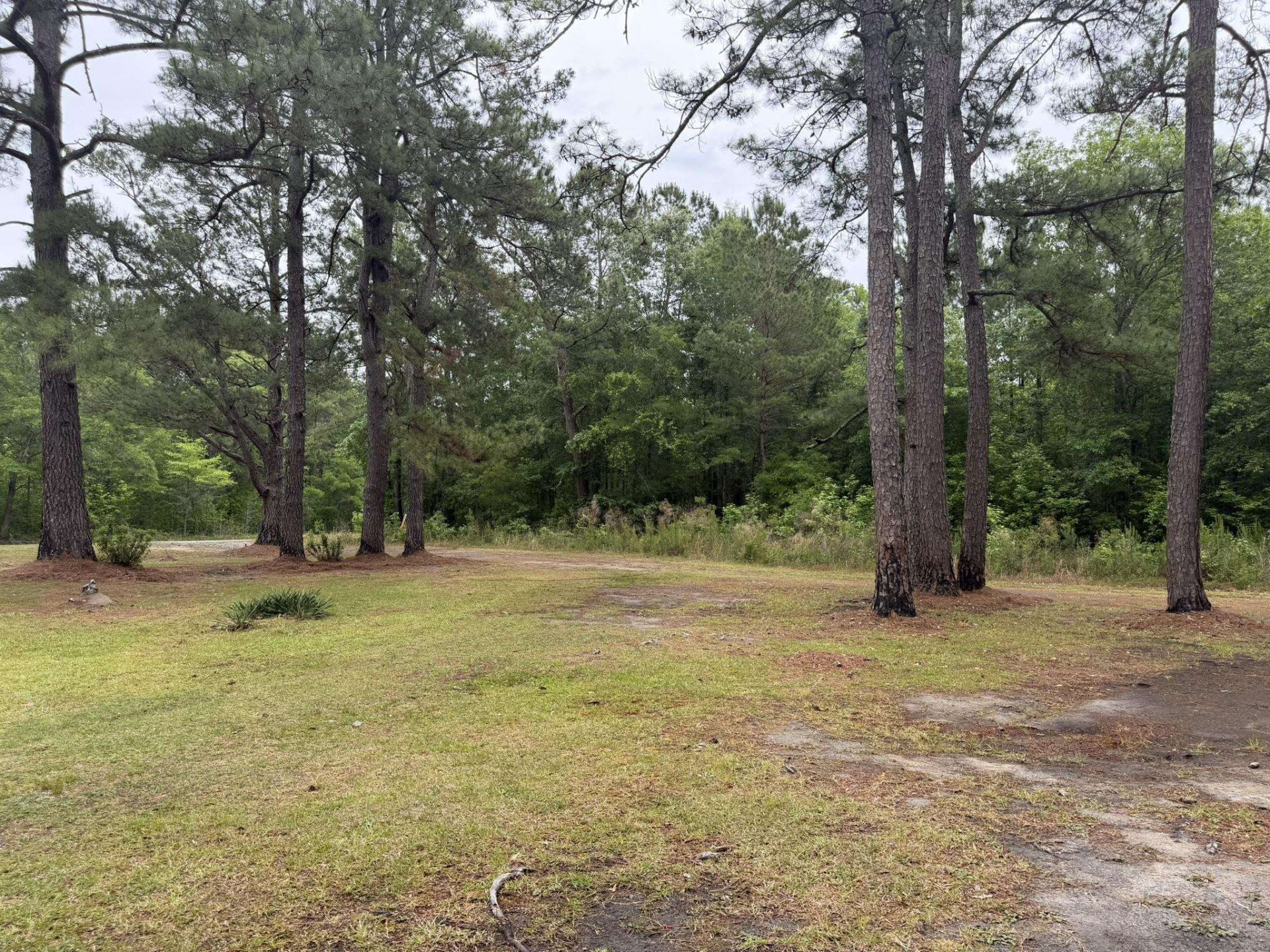 1389 Isabella Rd. Photo 6