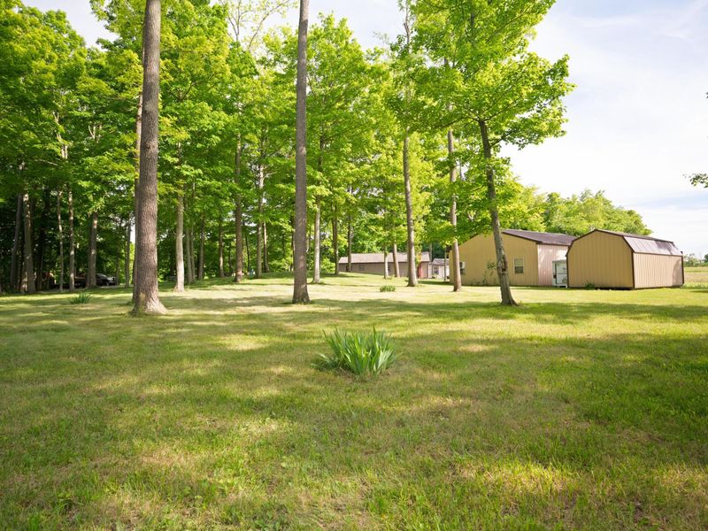 7521 Mingo-Lewisburg Rd. Road , North Lewisburg, OH 43060 Photo 57