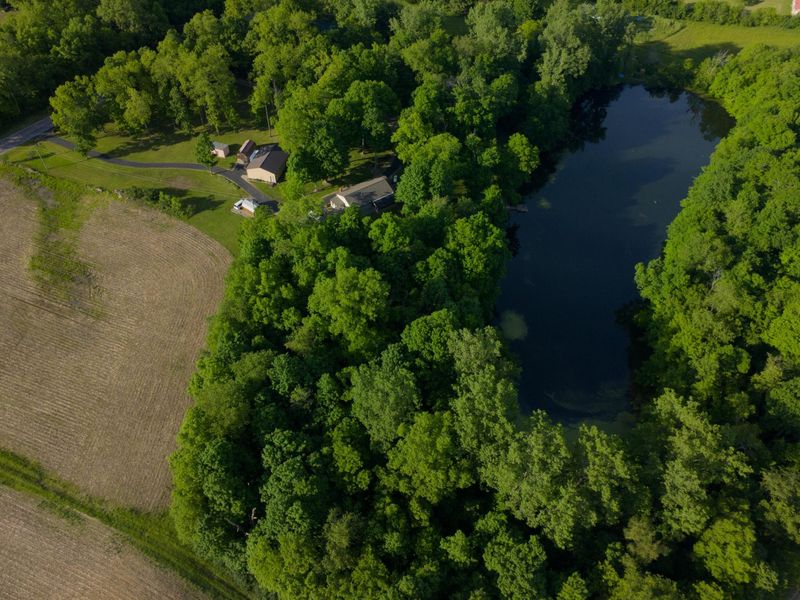 7521 Mingo-Lewisburg Rd. Road , North Lewisburg, OH 43060 Photo 70