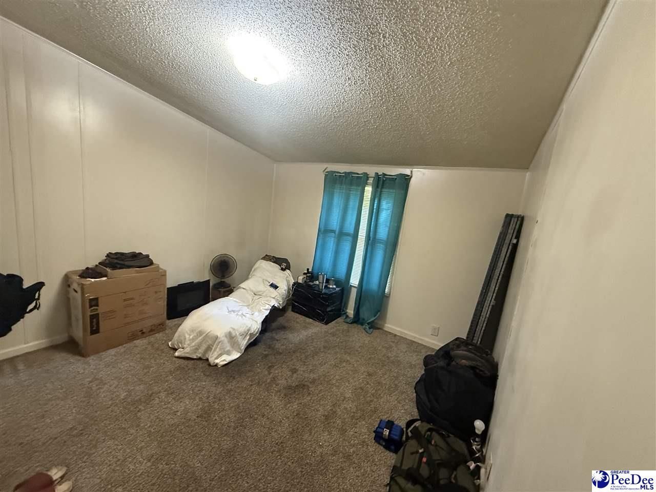 102 S Pinckney Photo 7