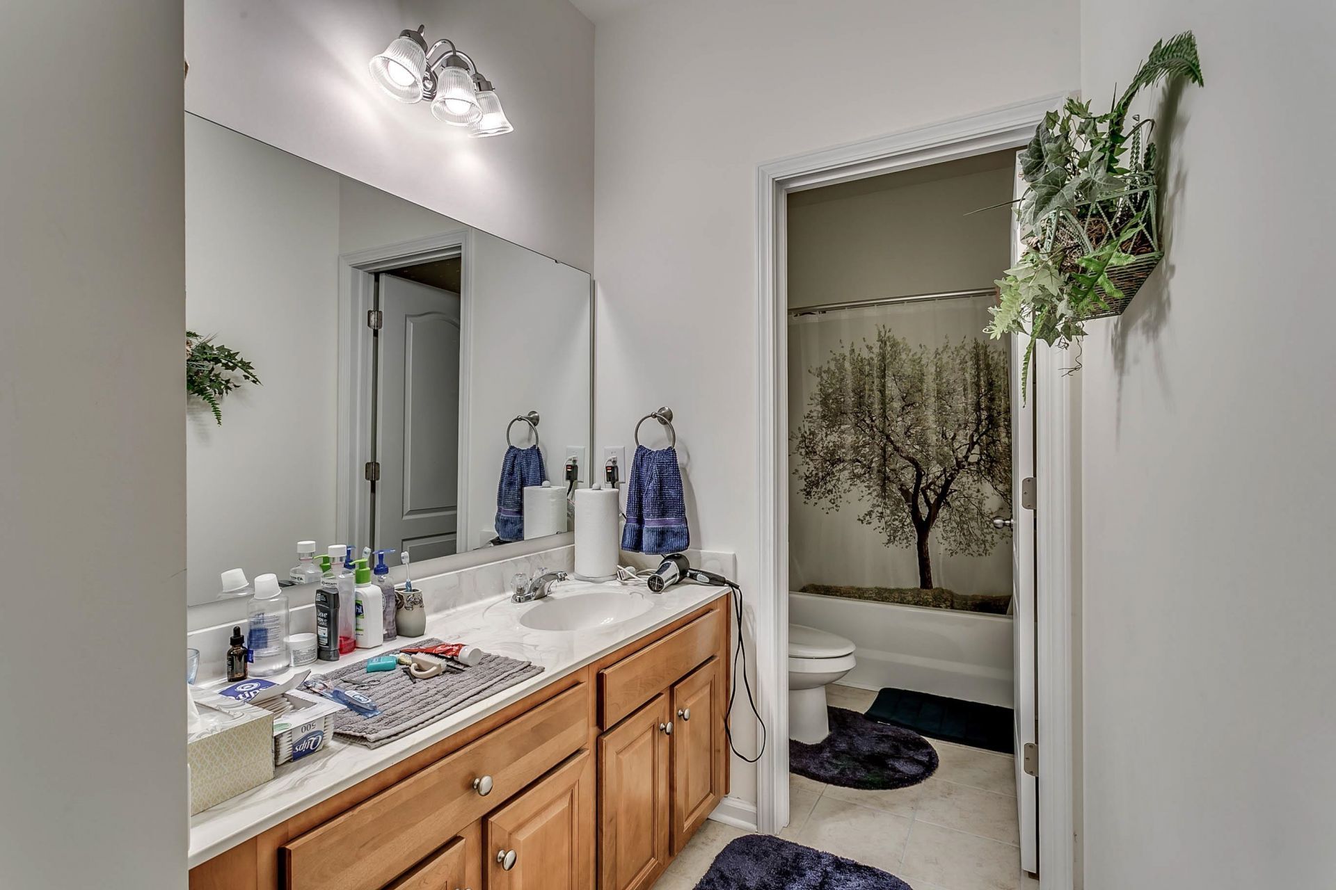 628 Lafayette Park Dr.  Photo 26