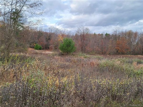 Ashley Drive - Lot 5 , Rosendale, NY 12472