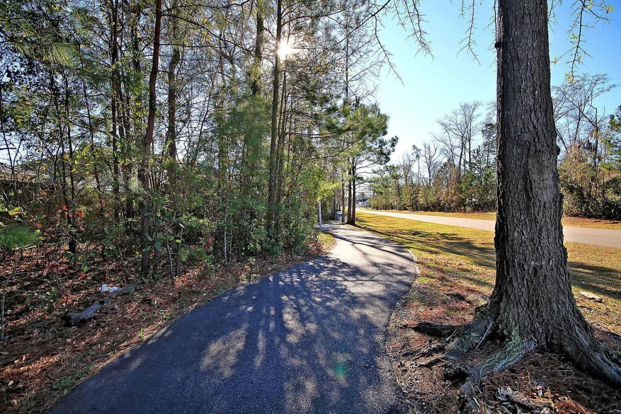 1311 Hermitage Lane Photo 42