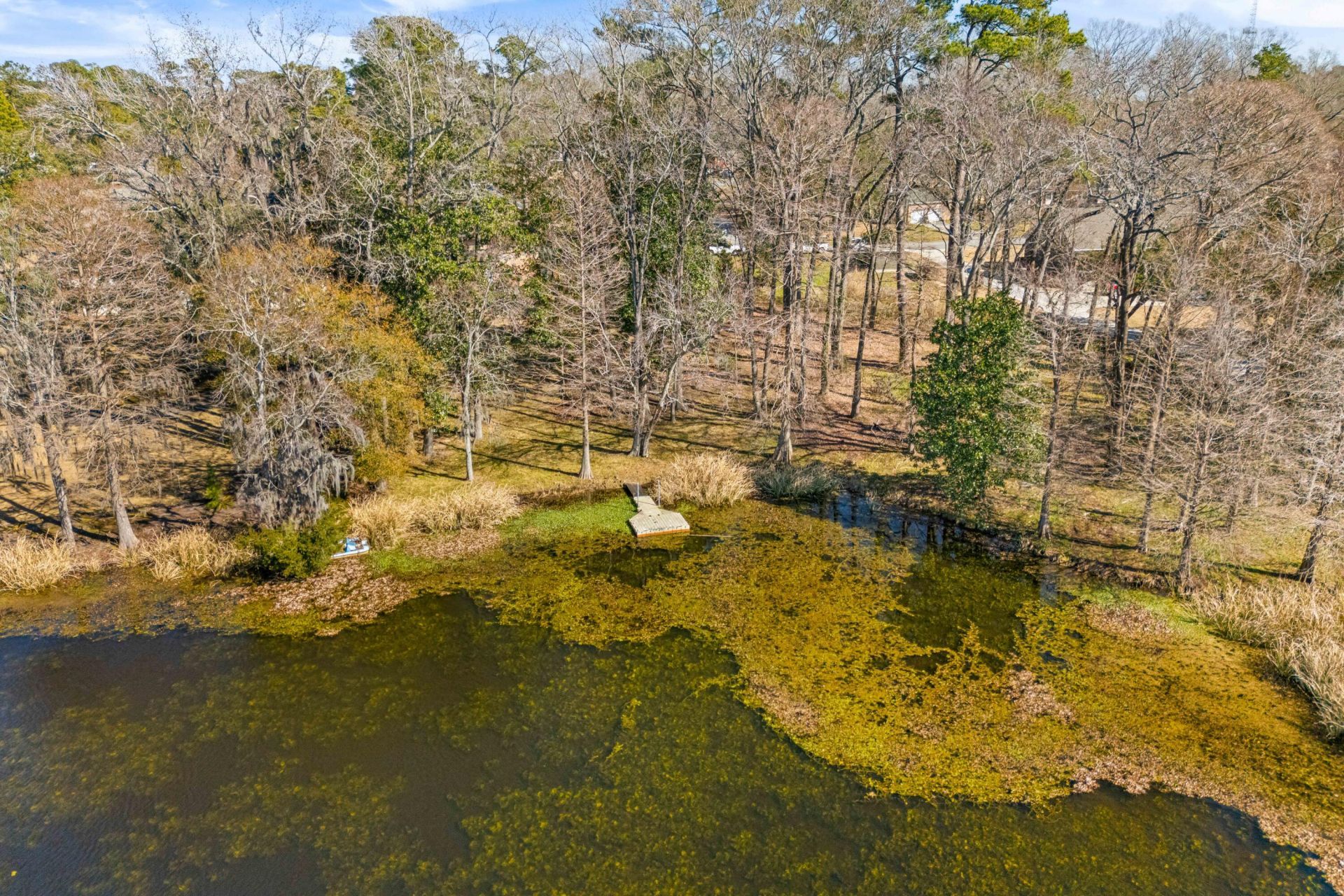 117 Goose Creek Drive Photo 41