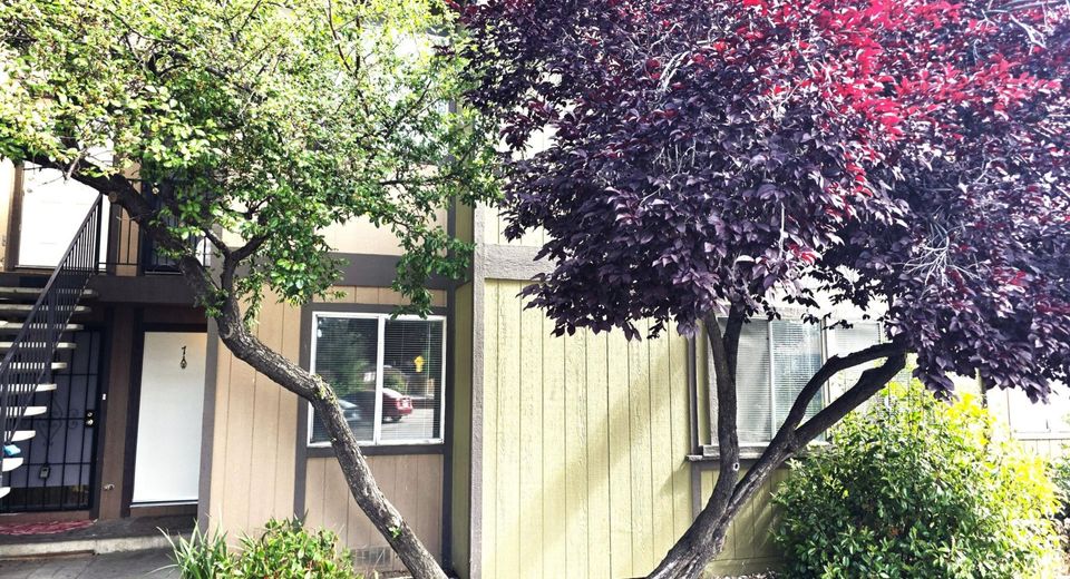 2345 Tripp Drive, Unit 7, Reno, NV 89512 Photo