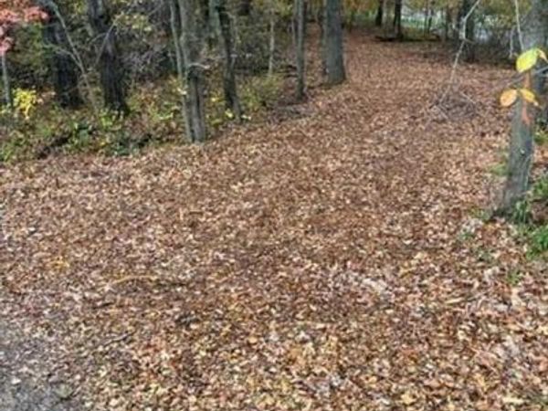 Lot 4 Tiger Street NW, Princeton, MN 55371