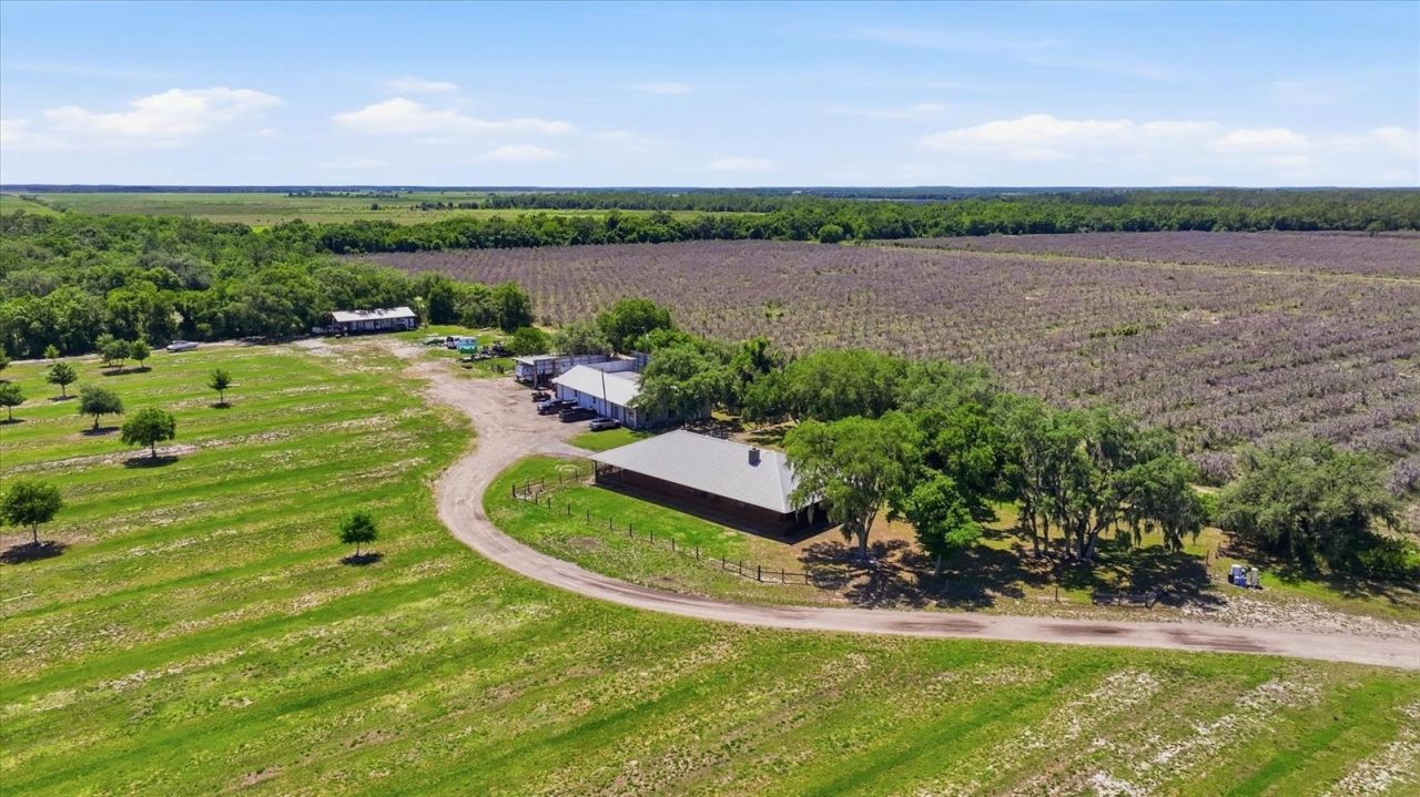 6204 Juel Gill Road, Myakka City, FL 34251 Photo