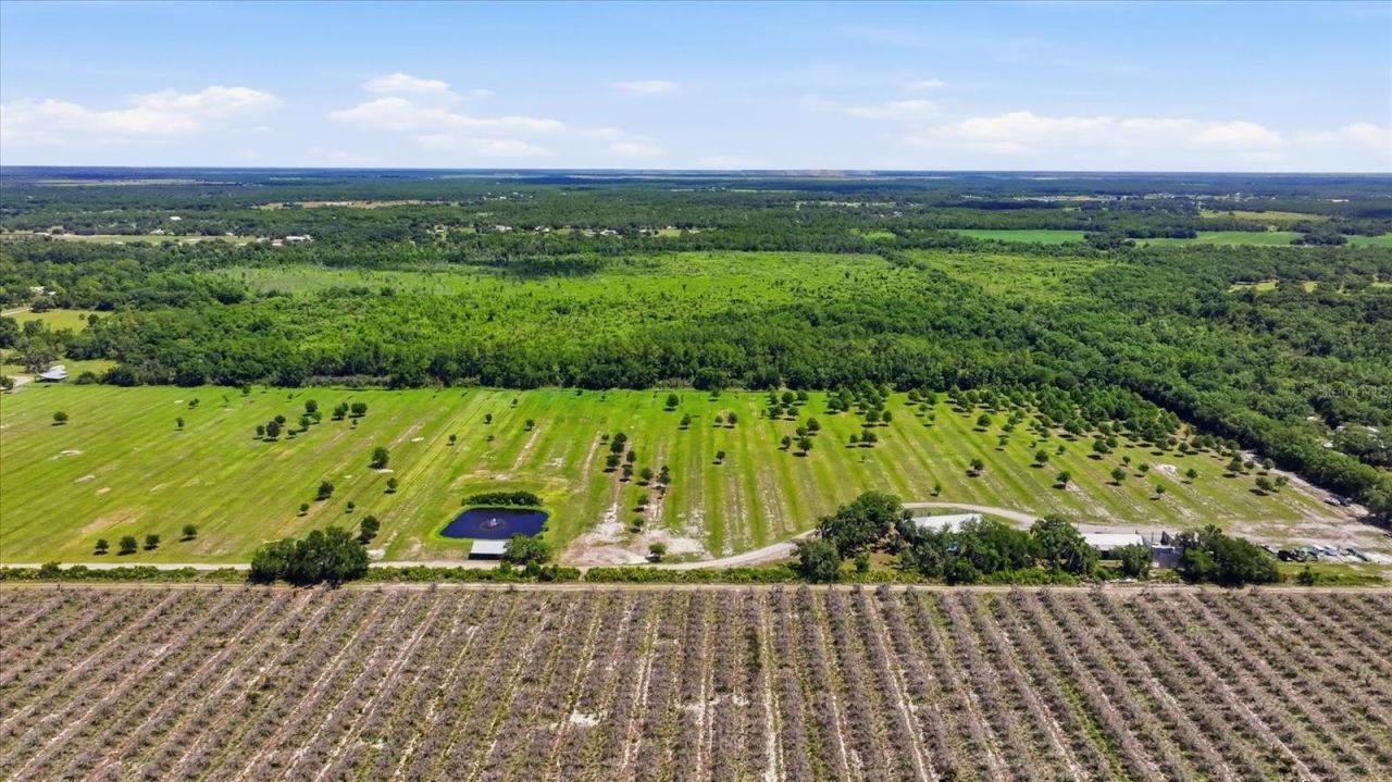 6204 Juel Gill Road, Myakka City, FL 34251 Photo