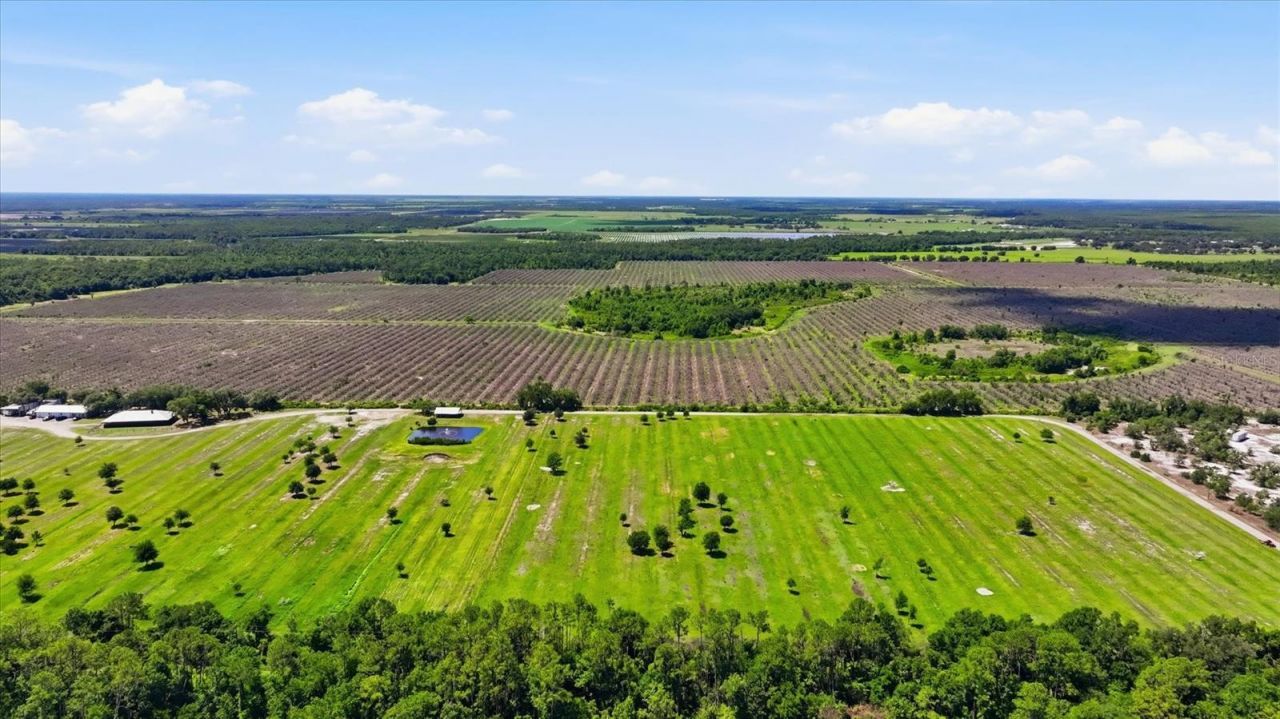 6204 Juel Gill Road, Myakka City, FL 34251 Photo