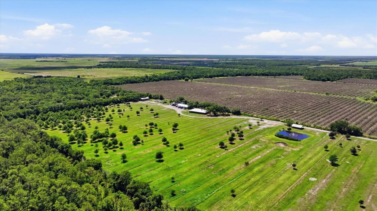 6204 Juel Gill Road, Myakka City, FL 34251 Photo