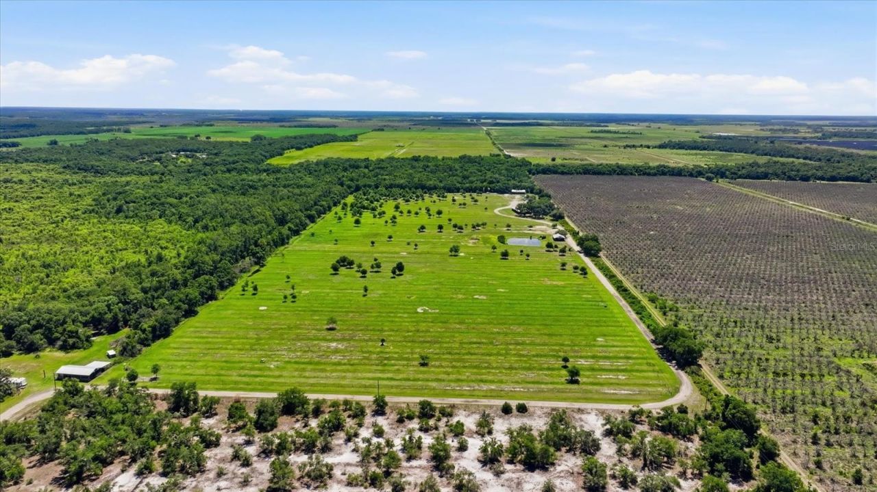 6204 Juel Gill Road, Myakka City, FL 34251 Photo