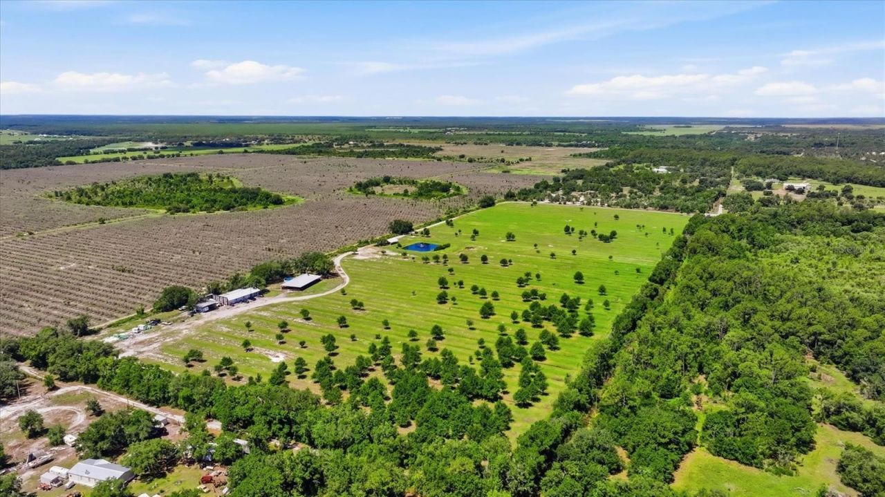 6204 Juel Gill Road, Myakka City, FL 34251 Photo
