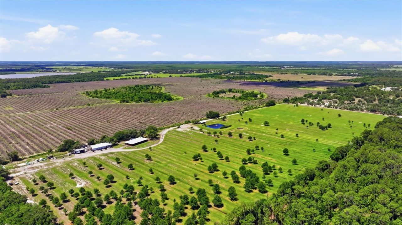 6204 Juel Gill Road, Myakka City, FL 34251 Photo