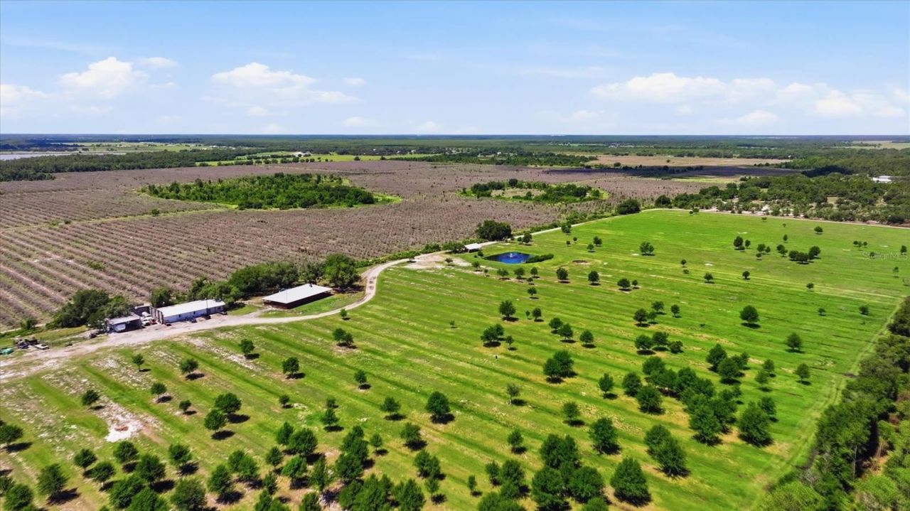 6204 Juel Gill Road, Myakka City, FL 34251 Photo