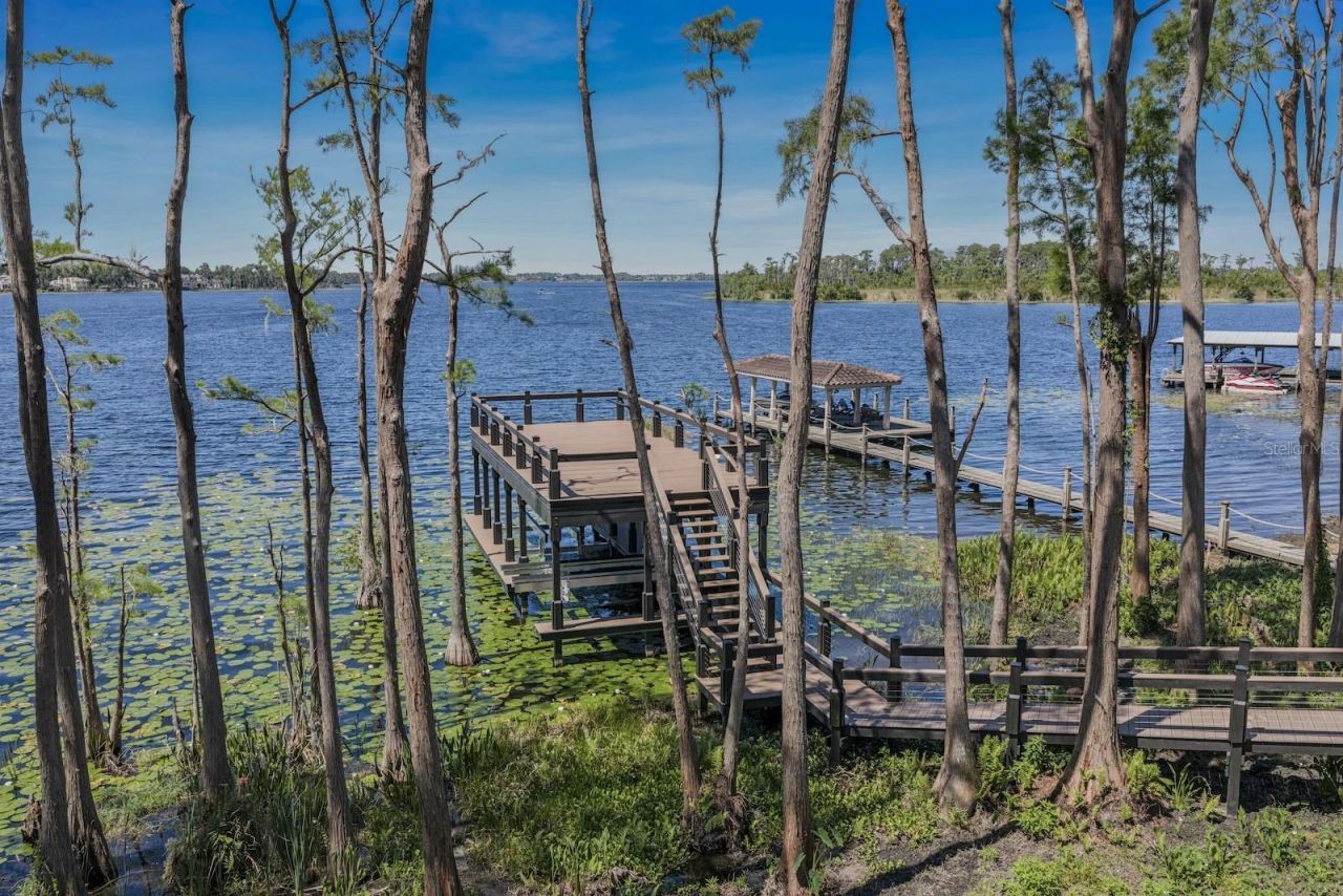 728 Forest Street, Windermere, FL 34786 Photo