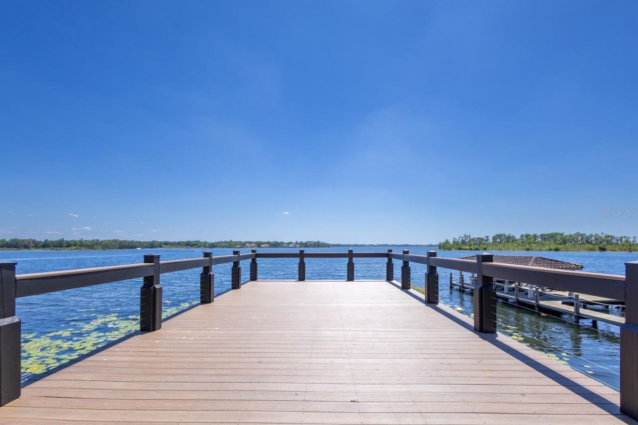 728 Forest Street, Windermere, FL 34786 Photo