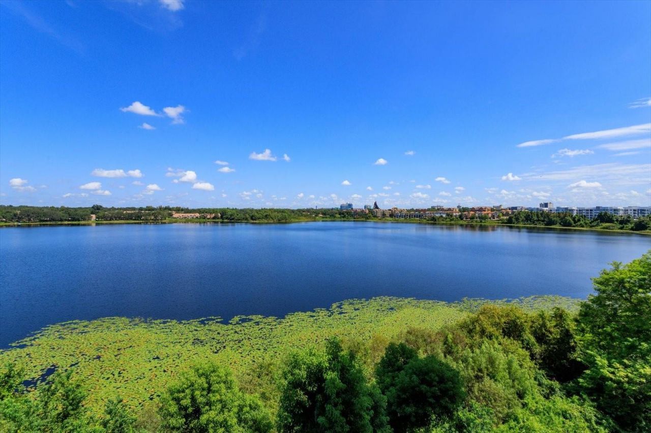 7550 Hinson Street , Unit 6A, Orlando, FL 32819 Photo