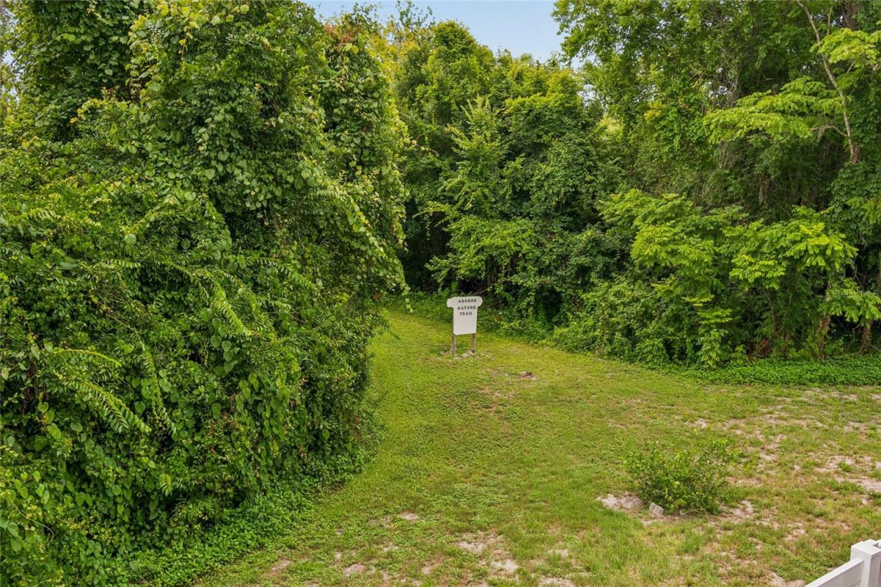131 Hidden Arbor Court , Sanford, FL 32773 Photo