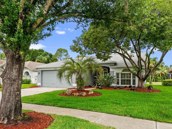 12823 ROYAL GEORGE AVENUE , ODESSA, FL 33556